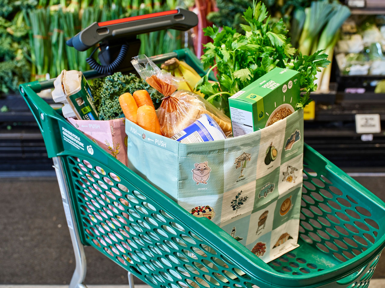 Shopping trolley and bag full of groceries