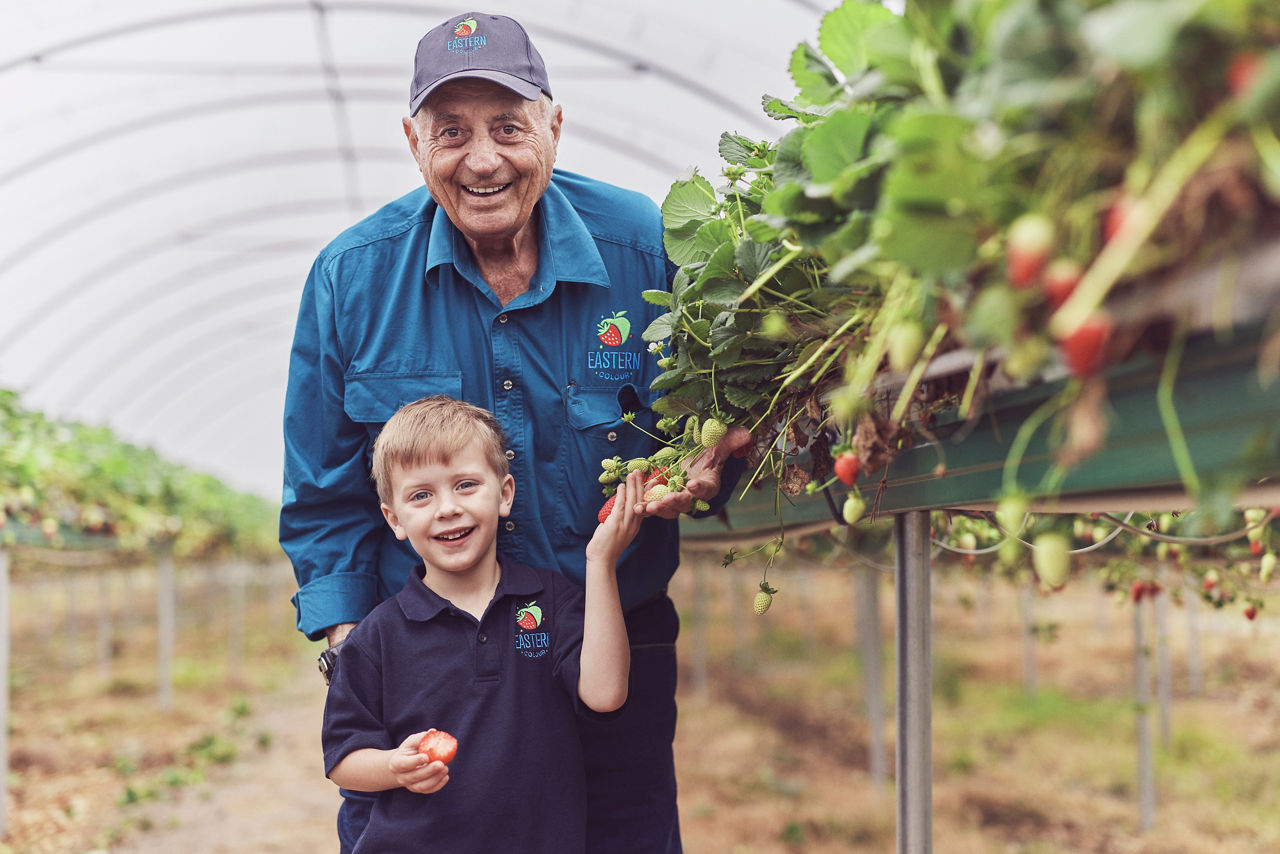 Baronio family of  Eastern Colour Farm