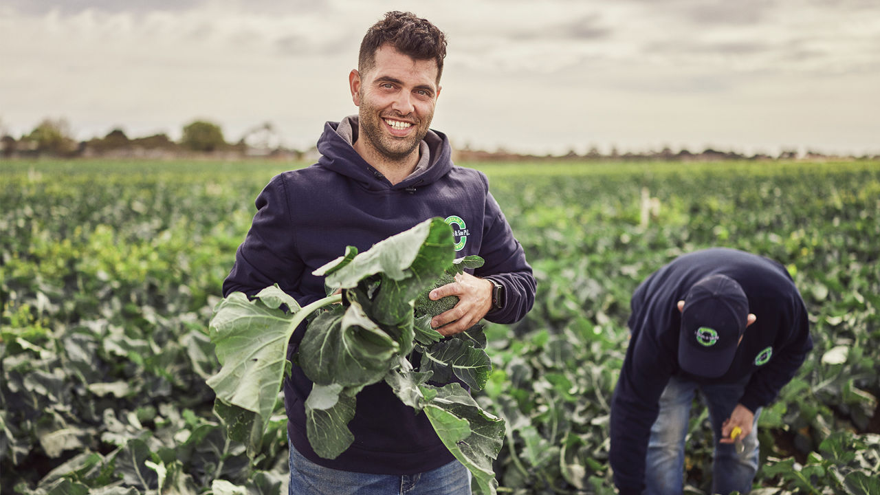 Elevato & Sons: Three generations of quality produce