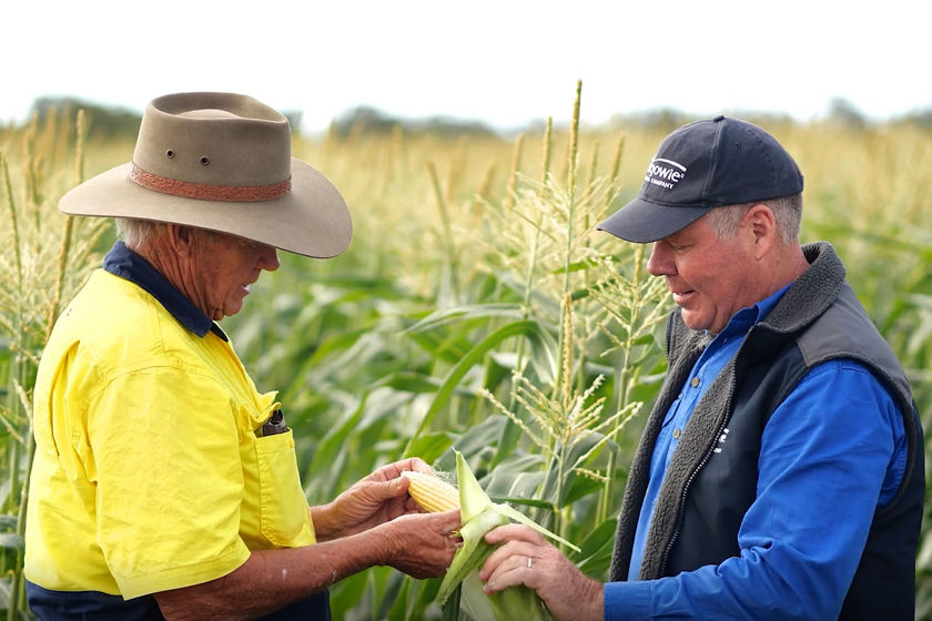 master card carousel image