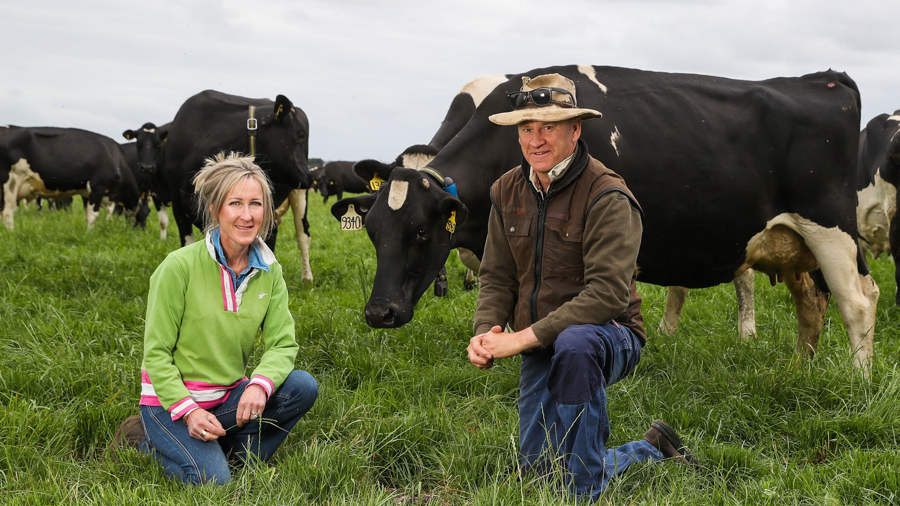 Woolworths seeks next wave of dairy farming innovators with 100,000 grants