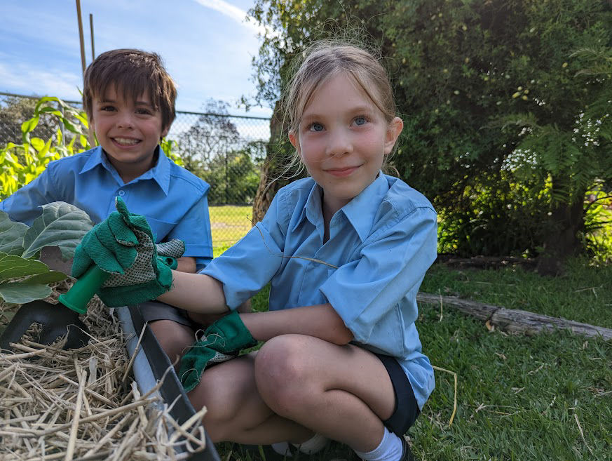 School children, garden