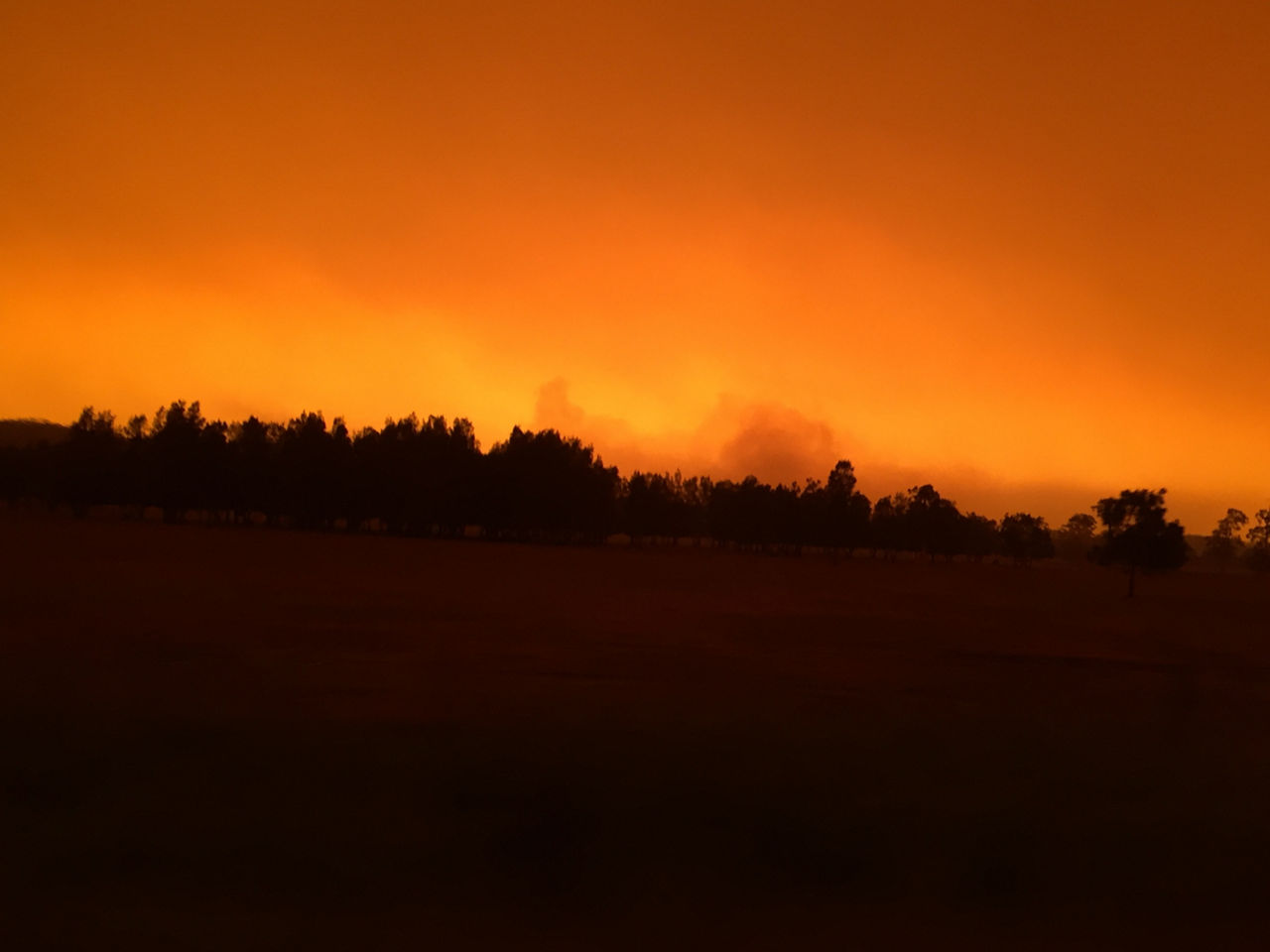 Salvos bushfire 