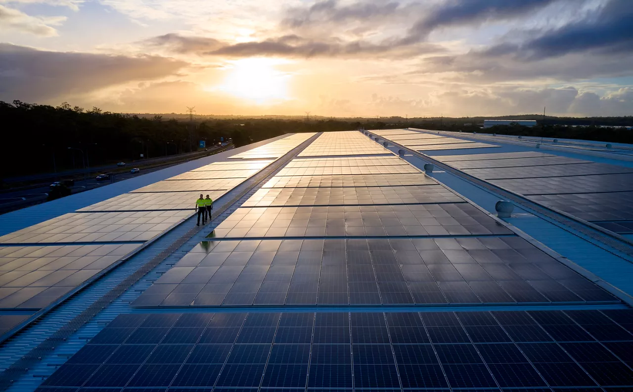 Farmer with potatoes 