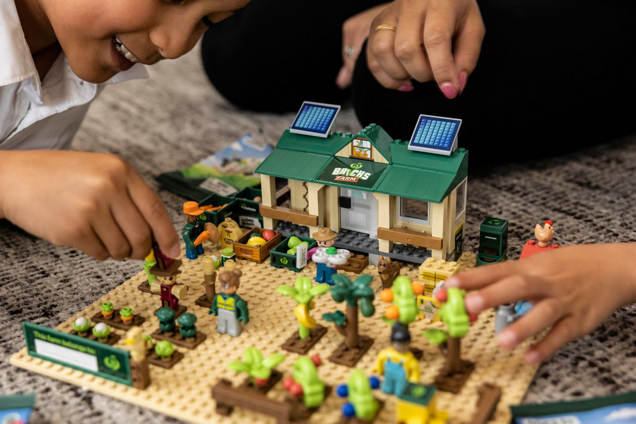 Children playing with Woolworths Bricks Farm