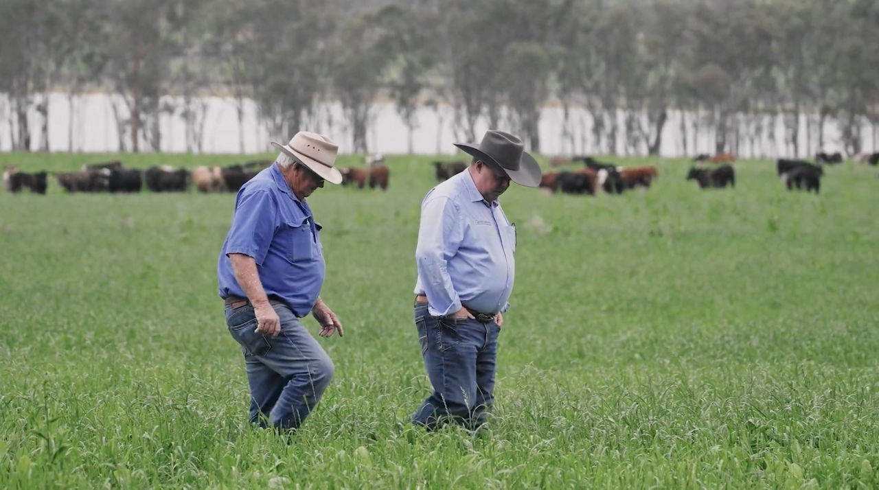 david brown farmer partnership