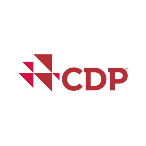 cdp logo