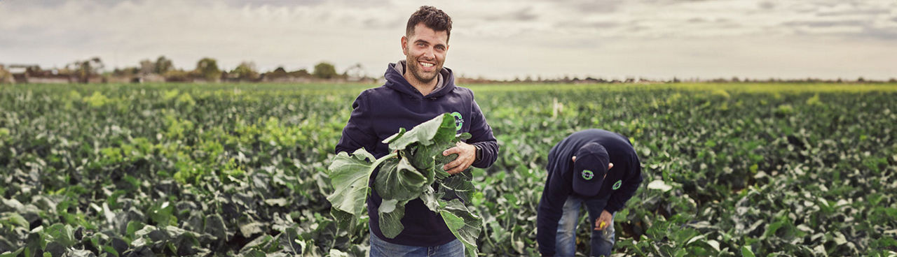 Elevato & Sons: Three generations of quality produce