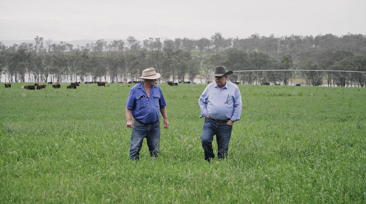 Woolworths Cattle Farmer Partnership