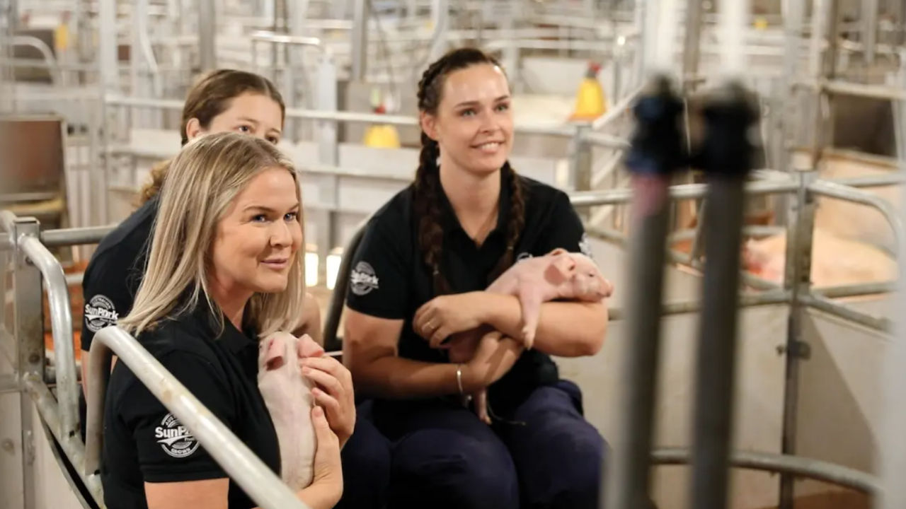 innovation in pork production