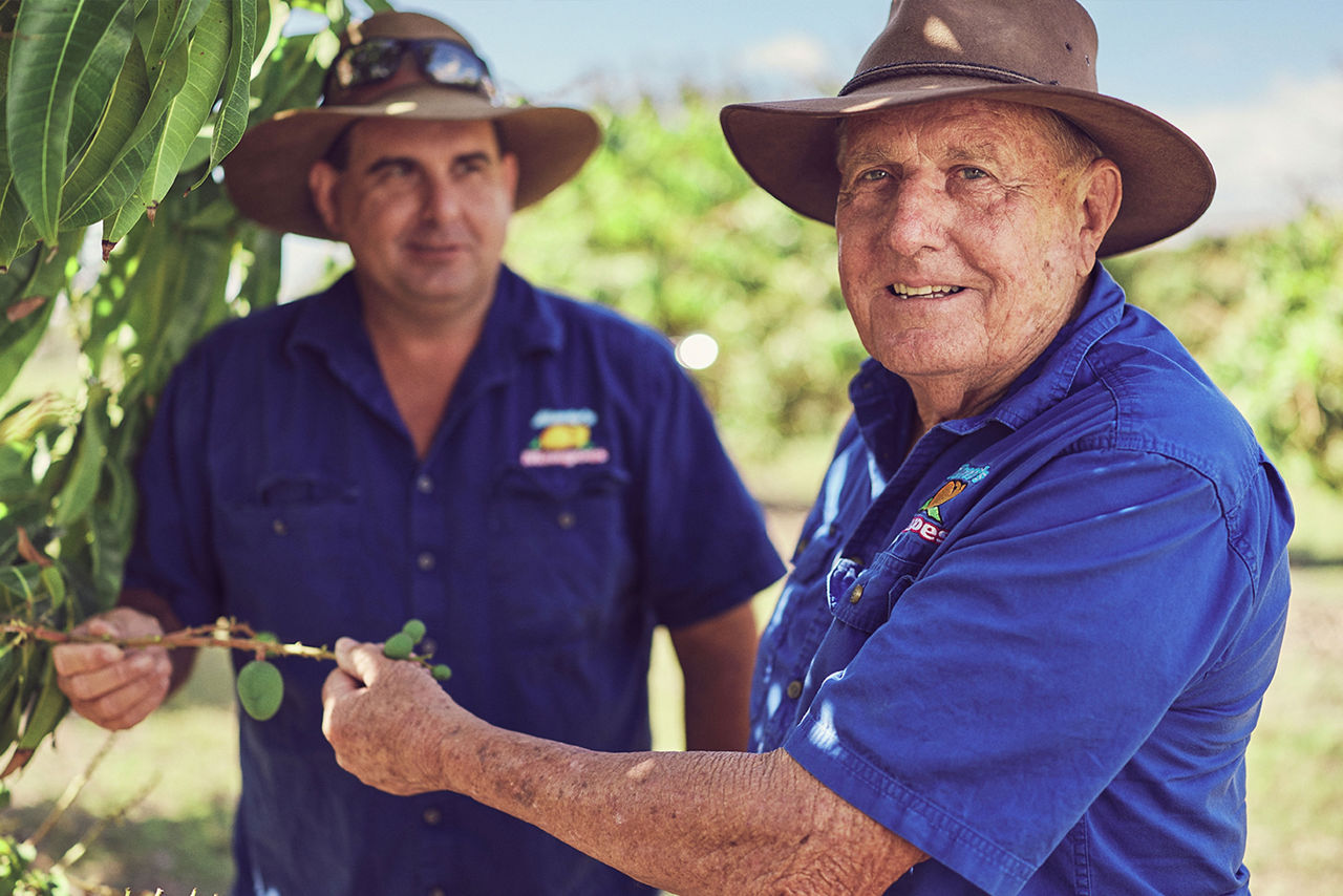 A family legacy of award-winning mangoes