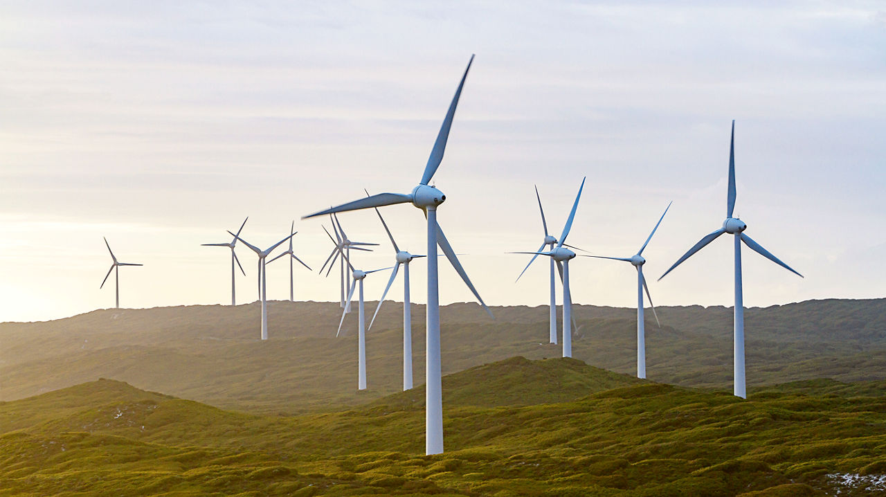 100% renewable electricity