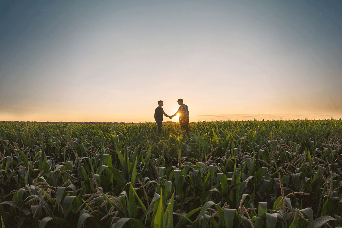 Woolworths Group's New Sustainability Plan