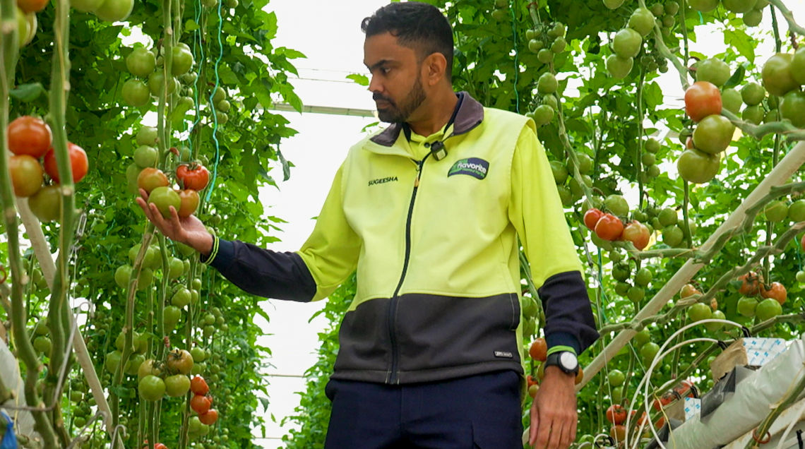 How is Woolworths involved in developing new products?
